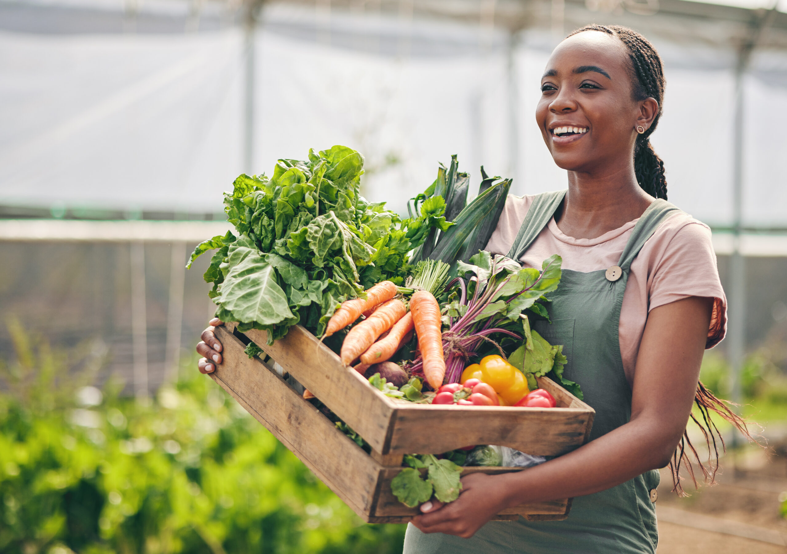 Woman, farming and vegetables in greenhouse for agriculture, supply chain or business with green product in basket. Happy African farmer or supplier with gardening for NGO, nonprofit or food security